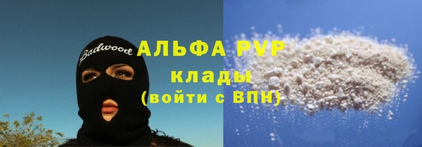 стаф Белоозёрский