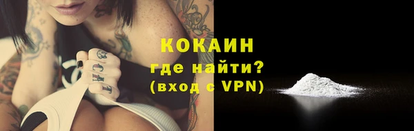 стаф Белоозёрский